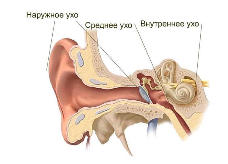 Причины онемения уха