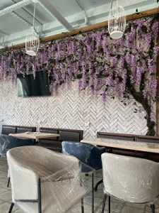 Основные принципы озеленения