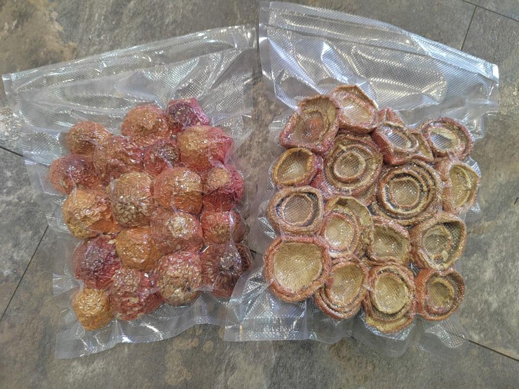 Практическое применение и целебный потенциал нижегородских мухоморов